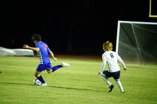 Enlarge photo 237