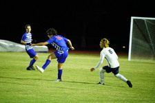Enlarge photo 238