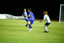 Enlarge photo 239