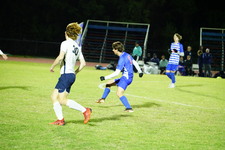 Enlarge photo 247
