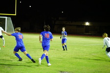 Enlarge photo 254