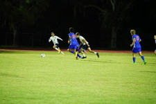 Enlarge photo 269