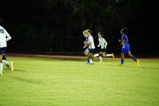 Enlarge photo 270