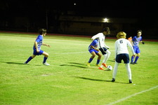 Enlarge photo 302