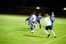 Enlarge photo 305