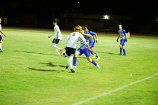 Enlarge photo 307