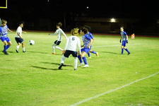 Enlarge photo 308