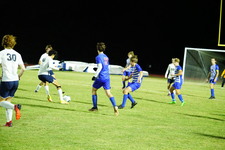 Enlarge photo 311
