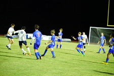 Enlarge photo 313
