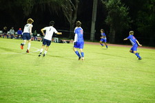 Enlarge photo 342