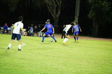 Enlarge photo 341