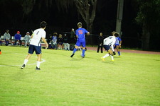 Enlarge photo 343