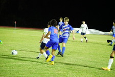Enlarge photo 374