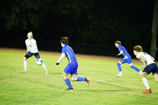 Enlarge photo 386