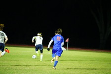 Enlarge photo 391