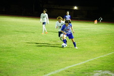 Enlarge photo 433
