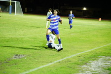 Enlarge photo 437