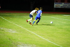 Enlarge photo 445