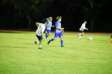 Enlarge photo 451
