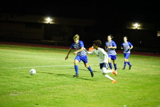 Enlarge photo 461