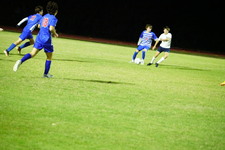 Enlarge photo 498