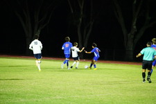 Enlarge photo 499