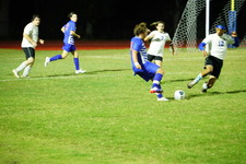 Enlarge photo 93