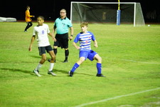 Enlarge photo 102