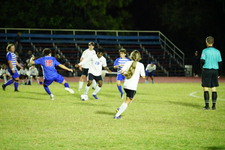 Enlarge photo 115