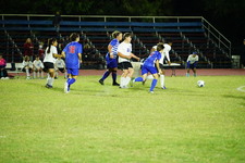 Enlarge photo 121