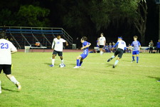 Enlarge photo 147