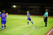Enlarge photo 153