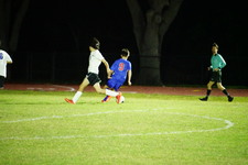 Enlarge photo 175