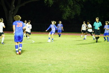 Enlarge photo 186