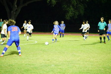 Enlarge photo 187