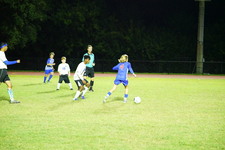 Enlarge photo 195