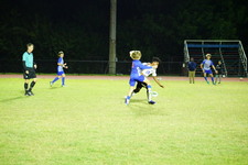 Enlarge photo 199