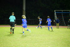 Enlarge photo 203