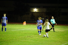 Enlarge photo 227