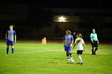 Enlarge photo 228