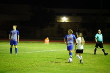 Enlarge photo 229
