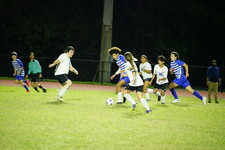 Enlarge photo 235