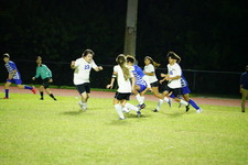 Enlarge photo 234