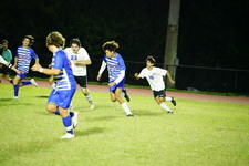 Enlarge photo 237