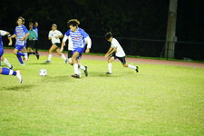 Enlarge photo 239