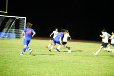 Enlarge photo 245