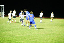 Enlarge photo 266