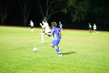 Enlarge photo 291