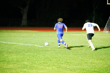 Enlarge photo 295