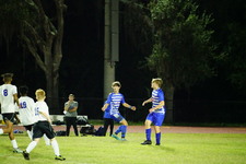 Enlarge photo 312
